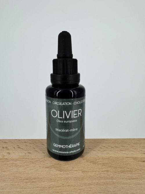 Olivier - Tension, Circulation, Cholestérol - Gemmothérapie