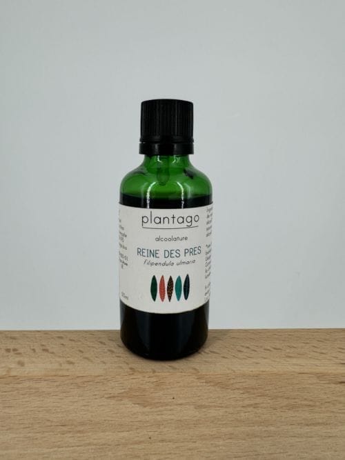 Reine des Prés - Alcoolature