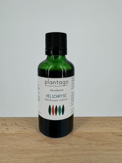Hélichryse - Alcoolature