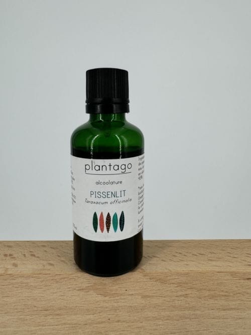 Pissenlit - Alcoolature