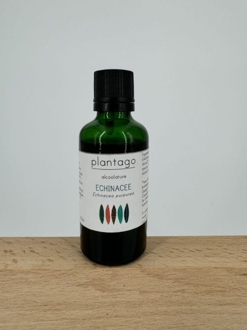 Echinacée - Alcoolature