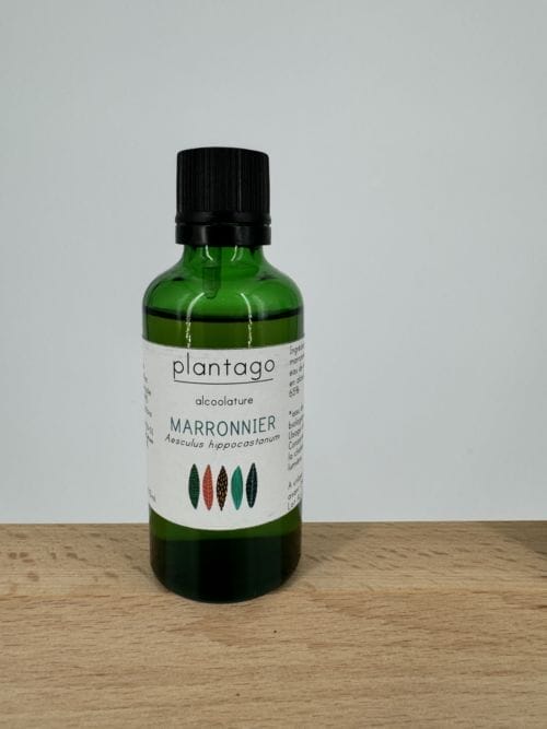 Marronnier - Alcoolature