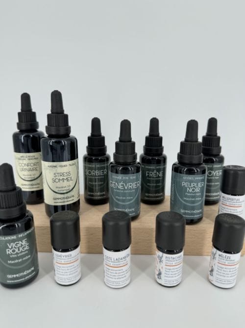 Aromathérapie et Huiles Essentielles