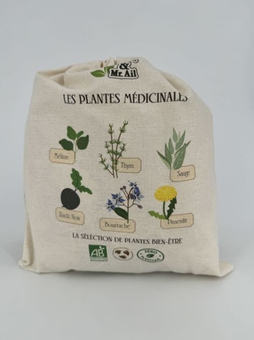 Les Plantes Médicinales - Dr Jonquille & Mister Ail