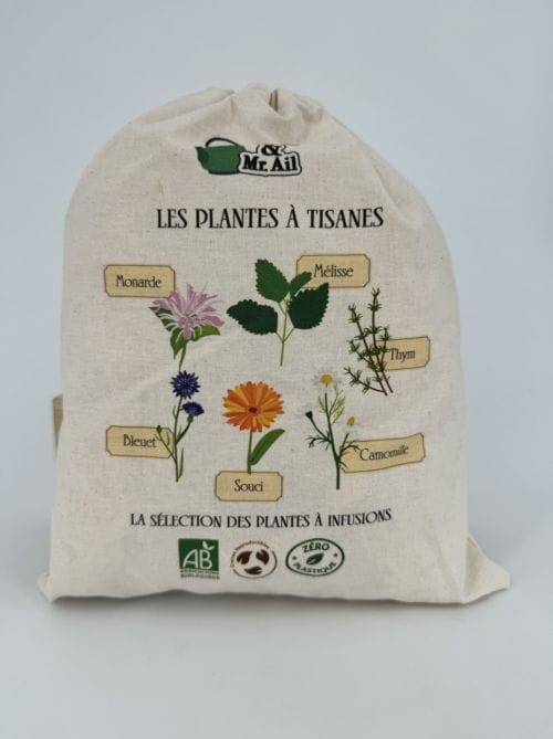 Les Plantes à Tisane - Dr Jonquille & Mister Ail