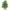 Arbre - Ginkgo Biloba - Collecta