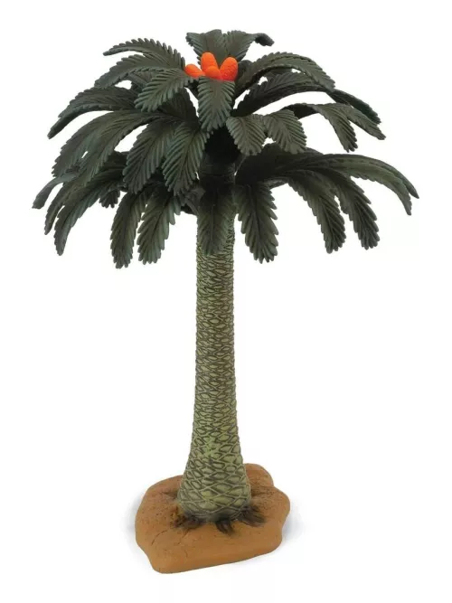 Arbre - Cycad Tree - Collecta