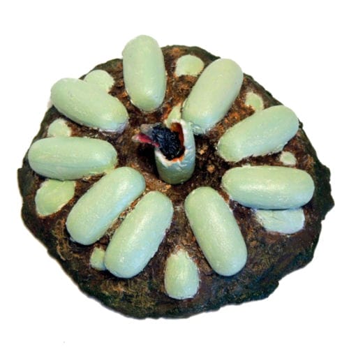 Forest Accessory Pack with Microraptor gui - Beasts of the Mesozoic