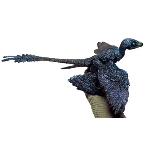 Forest Accessory Pack with Microraptor gui - Beasts of the Mesozoic