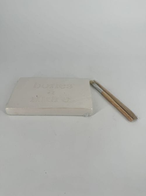 DAM kit à déterrer fossile dinosaure