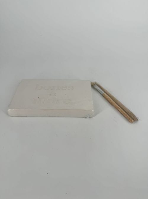 DAM kit à déterrer fossile dinosaure