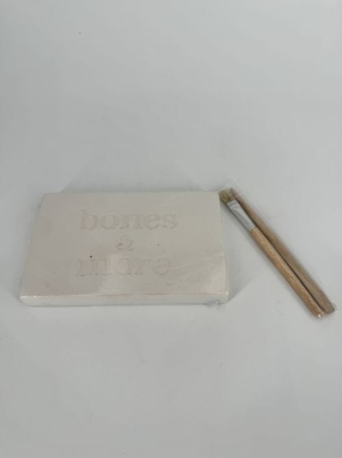 DAM kit à déterrer fossile dinosaure