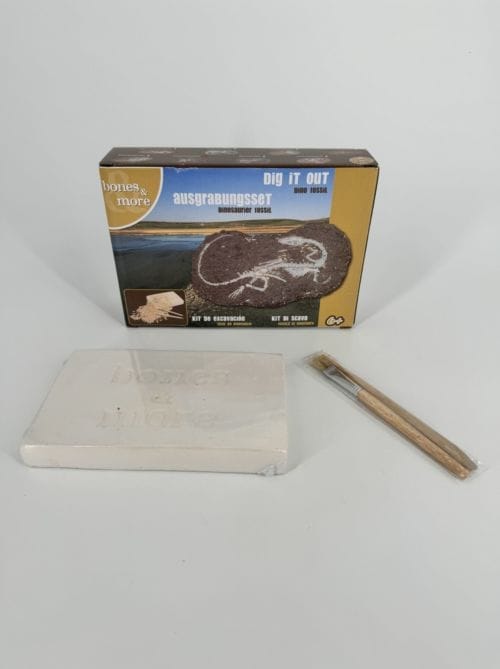 DAM kit à déterrer fossile dinosaure