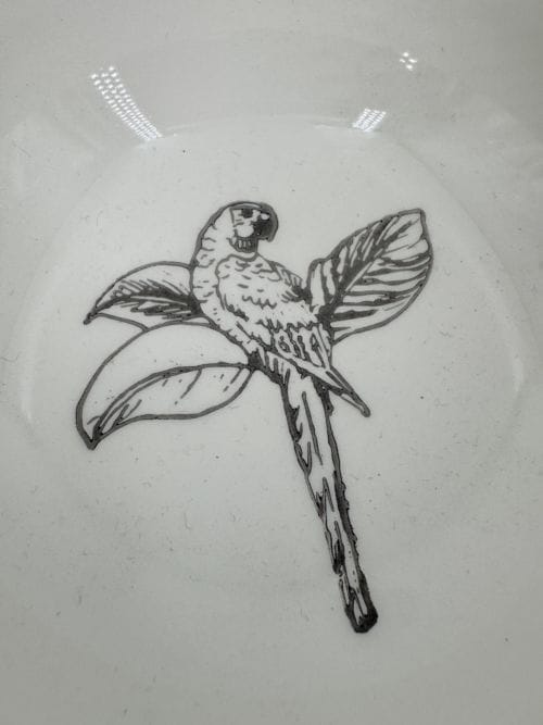 Bol Perroquet Personnalisé Rêve Crois Ose - Maison Roussot