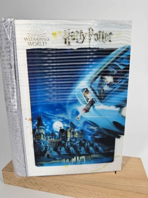 Harry Potter - Puzzle Prime 3D - Harry et Ron dans la voiture volante - 300 pcs boite métal