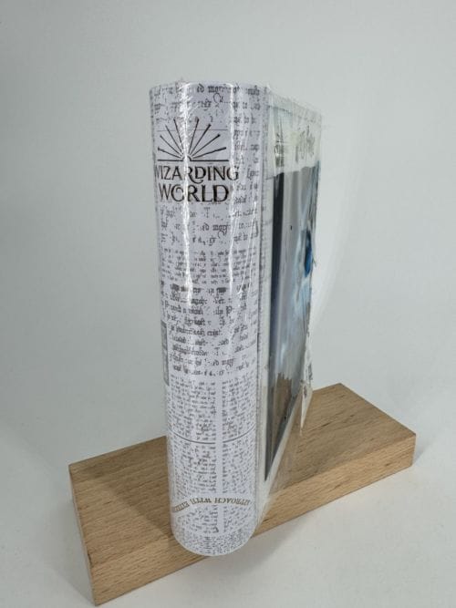 Harry Potter - Puzzle Prime 3D - Harry et Ron dans la voiture volante - 300 pcs boite métal