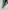 Harry Potter - Mug de voyage Slytherin (Serpentard)