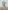 Belle - Figurine Funko Pop - Rock Candy - Vinyl Collectible - Monde de Ralph - Ralph breaks the Internet