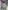 Jasmine - Figurine Funko Pop - Rock Candy - Vinyl Collectible - Monde de Ralph - Ralph breaks the Internet