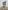 Jasmine - Figurine Funko Pop - Rock Candy - Vinyl Collectible - Monde de Ralph - Ralph breaks the Internet