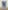 Jasmine - Figurine Funko Pop - Rock Candy - Vinyl Collectible - Monde de Ralph - Ralph breaks the Internet