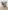 Marilyn Monroe - Figurine Funko Pop Icons 24
