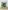Green Giant Sprout - Figurine Funko Pop Icons 43 - Géant Vert