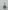Ampoule E27 Opjet LED filament Bulb 4W 50w incandescent - twist vintage 220-240V - ampoule verre teinté ambré - blanc chaud 700Lm - usage de variateur possible - Ref 012430