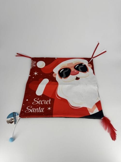 Tapis d'éveil pour animaux Secret Santa Rena Pet
