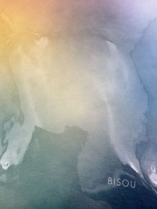 Carte avec enveloppes Papier Tigre - Bisou