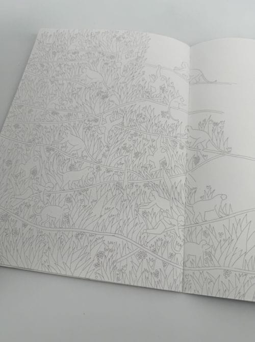 Cahier de coloriage n°1 vert - Editions Petit gramme - 7 planches A3 - 5 pages d'apprentissage