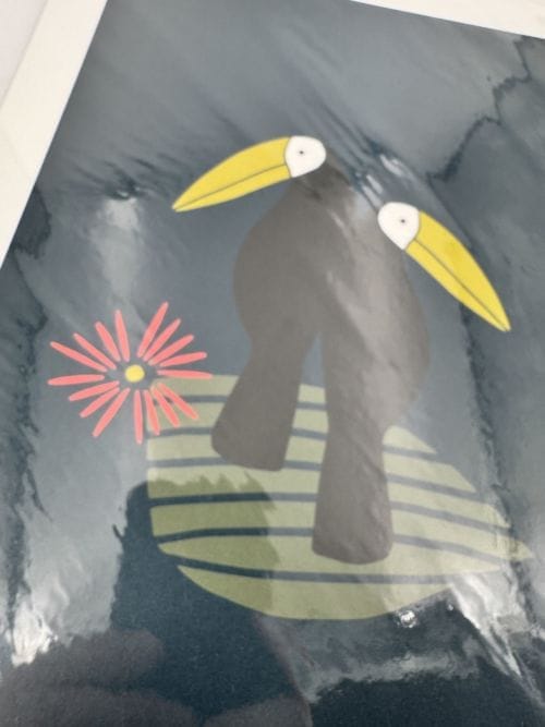 Affiche Monsieur Papier - Toucans