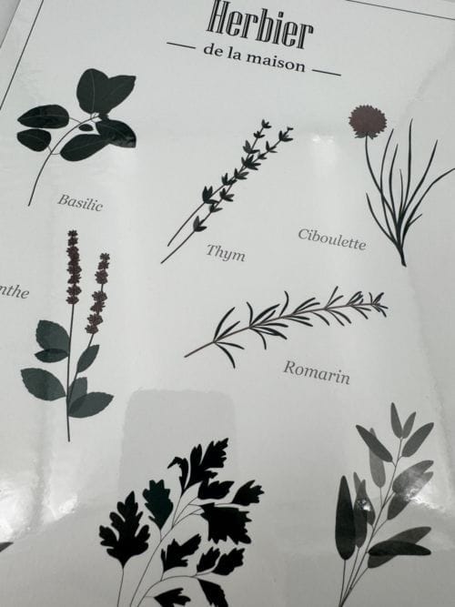 Affiche Herbier de la maison