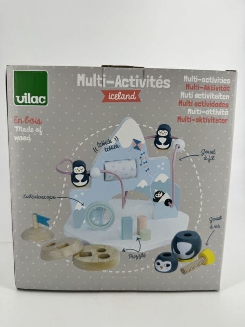 Jeu igloo multi-activités Iceland Michelle Carlslund - Vilac 3048700085245