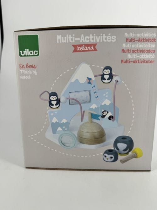 Jeu igloo multi-activités Iceland Michelle Carlslund - Vilac 3048700085245