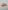 Paulette oeuf dansant orange - Lilliputiens 5414834834314